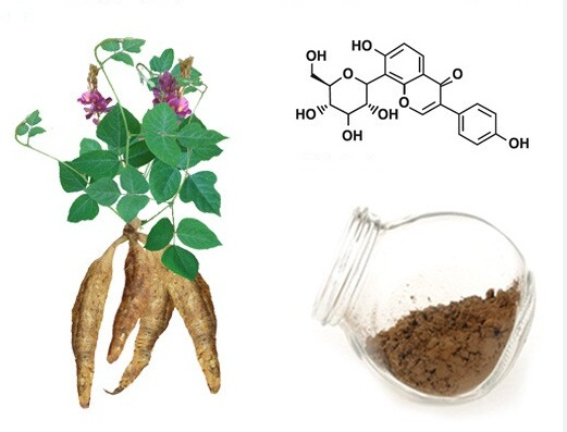 Pueraria Flavonid.png